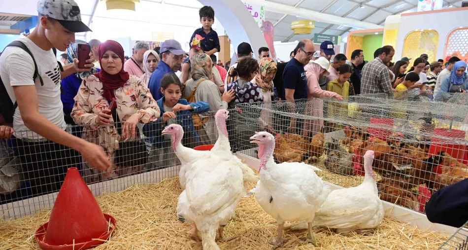 تنظيم الدورة 26 للمعرض الدولي للدواجن من 3 إلى 5 نونبر