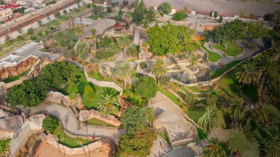 قرار بفتح أبواب حديقة الحيوانات عين السبع قبل انطلاق “كان 2025”