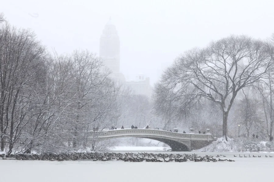 الولايات المتحدة.. عاصفة شتوية تتسبب في إلغاء مئات الرحلات الجوية