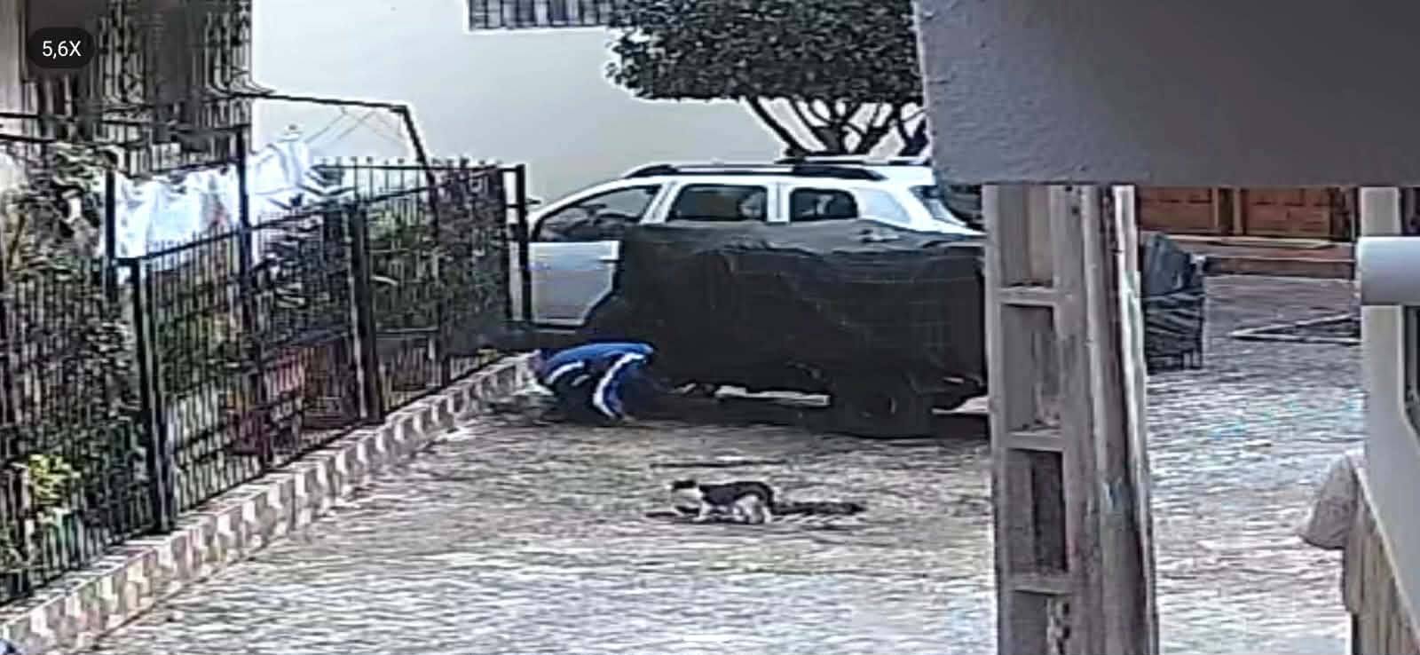 كاميرا مراقبة توثق سرقة “ليصانص” من “تريبورتور” بشارع علال الفاسي بالصويرة +صور