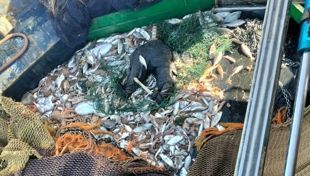 مركب صيد ينتشل نصف جثة مجهولة الهوية ويعود إلى ميناء طانطان