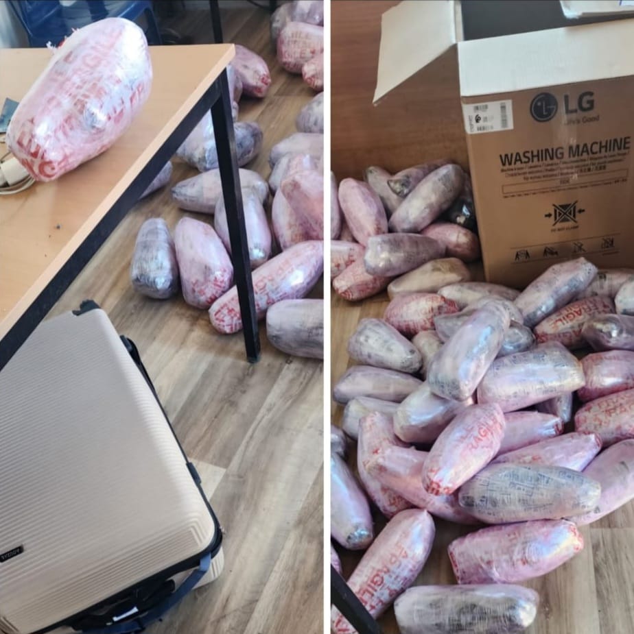 الكلاب المدربة تُحبط محاولة تهريب شحنة من “الكيف” داخل حافلة للنقل بالداخلة