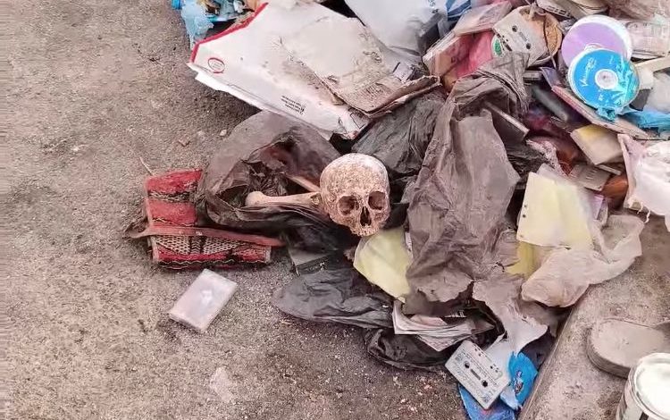 العثور على جمجمة يُرجّح أنها بشرية بميناء آسفي يفتح تحقيقًا قضائيًا