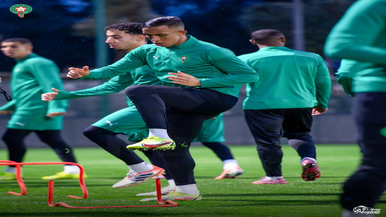 كان 2025.. حصتان تدريبيتان للأسود استعدادا لمواجهة مالي