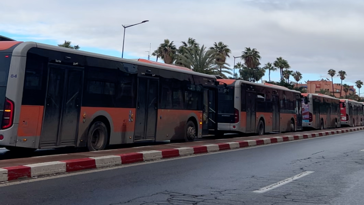 لتسهيل تنقل الجماهير.. خطة “نقل لوجستية” لمواجهة كوت ديفوار والكاميرون بمراكش +فيديو