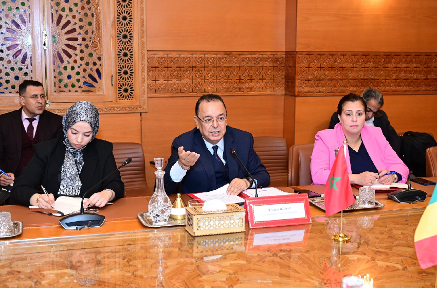 مجلس المستشارين.. حداد يتباحث ورئيس المجلس الأعلى للجماعات الترابية بمالي