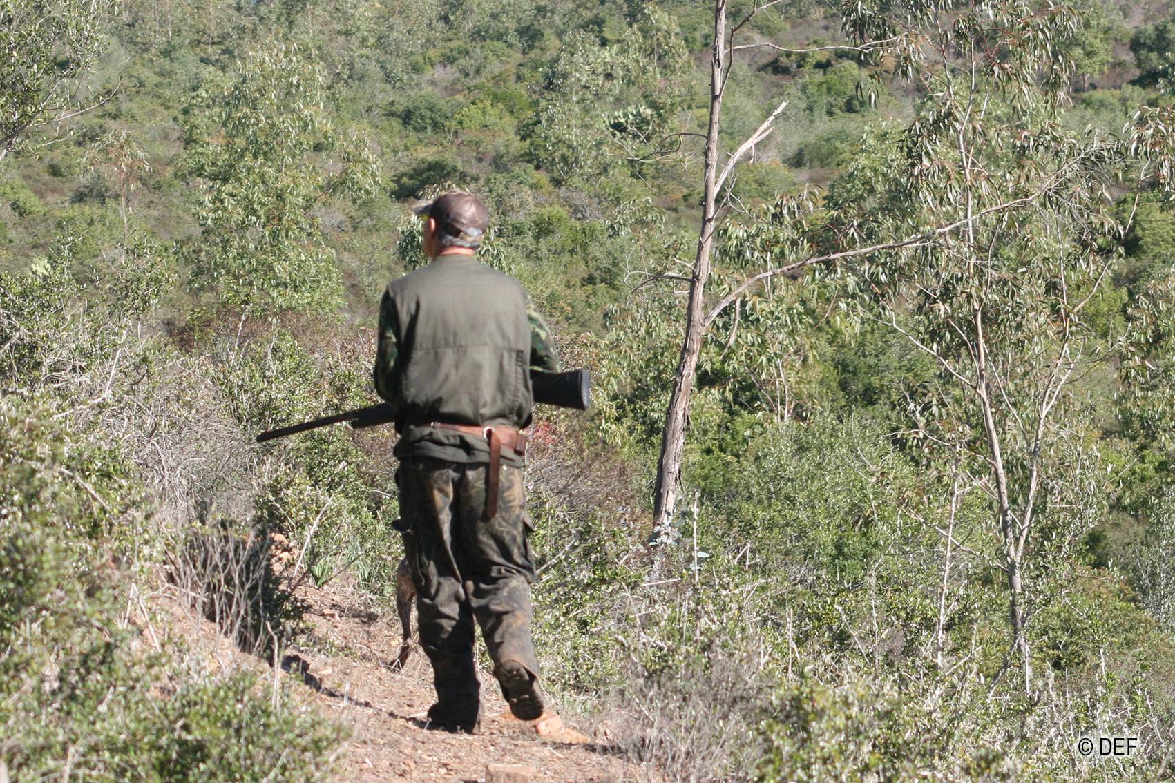 موسم 2025 / 2026.. وكالة المياه والغابات تعلن نهاية فترة قنص الطرائد