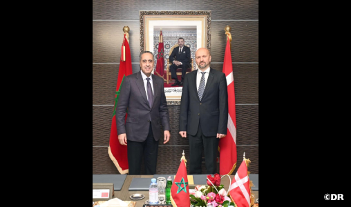 حموشي يتباحث ومدير الشرطة رئيس وحدة مكافحة الجريمة المنظمة بالدانمارك