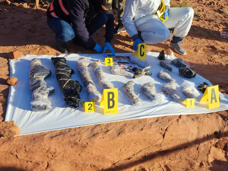 خلية “أسود الخلافة”.. تفاصيل الأحكام الاستئنافية على المتهمين الـ13