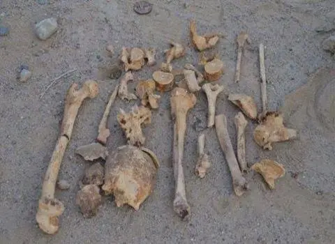 الحسيمة.. لغز اختفاء ثمانيني ينتهي بالعثور على رفاته بمرتفعات “آيت يوسف وعلي”