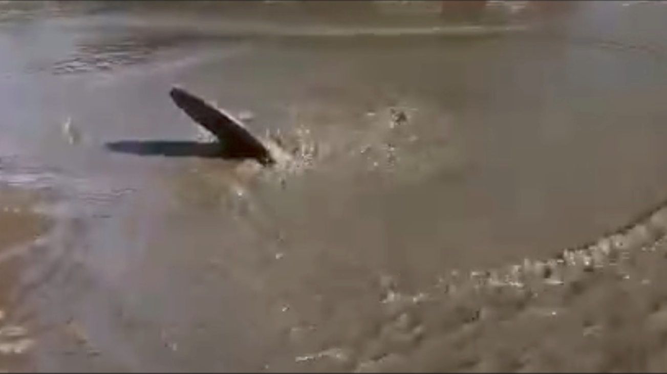 بالفيديو.. ساكنة “سيدي مبارك” مراكش تستغيث من “انفجار” قنوات الصرف الصحي