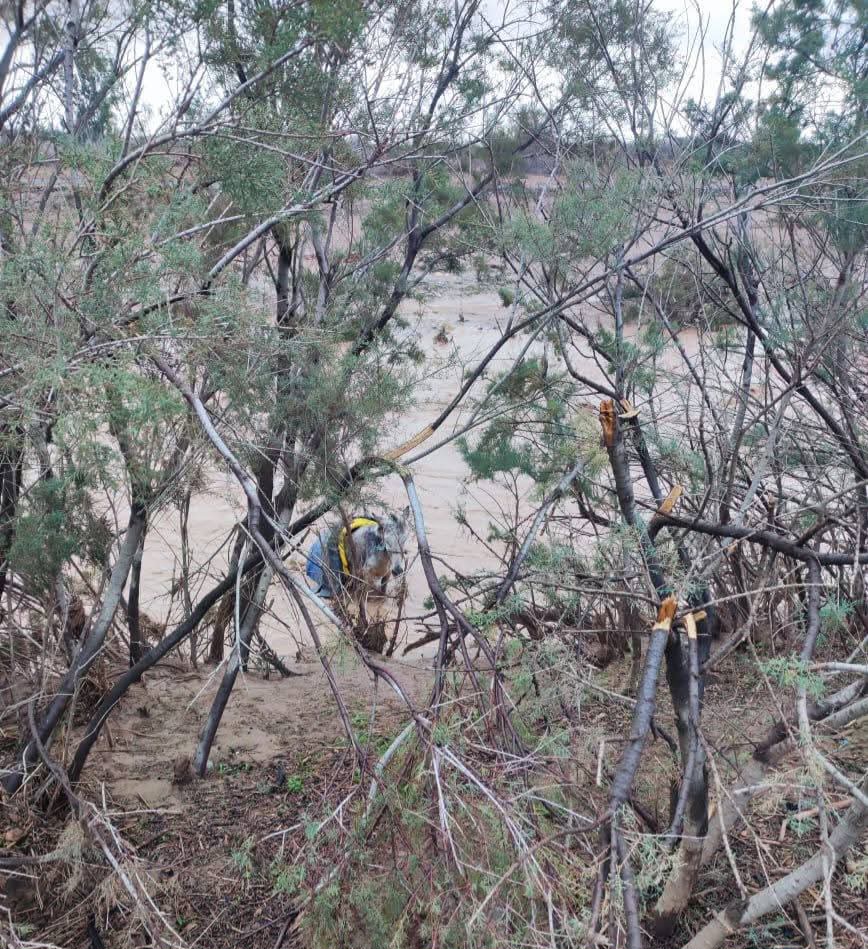 انتشال جثة مسن جرفته سيول “واد شيشاوة” بعد عمليات بحث واسعة