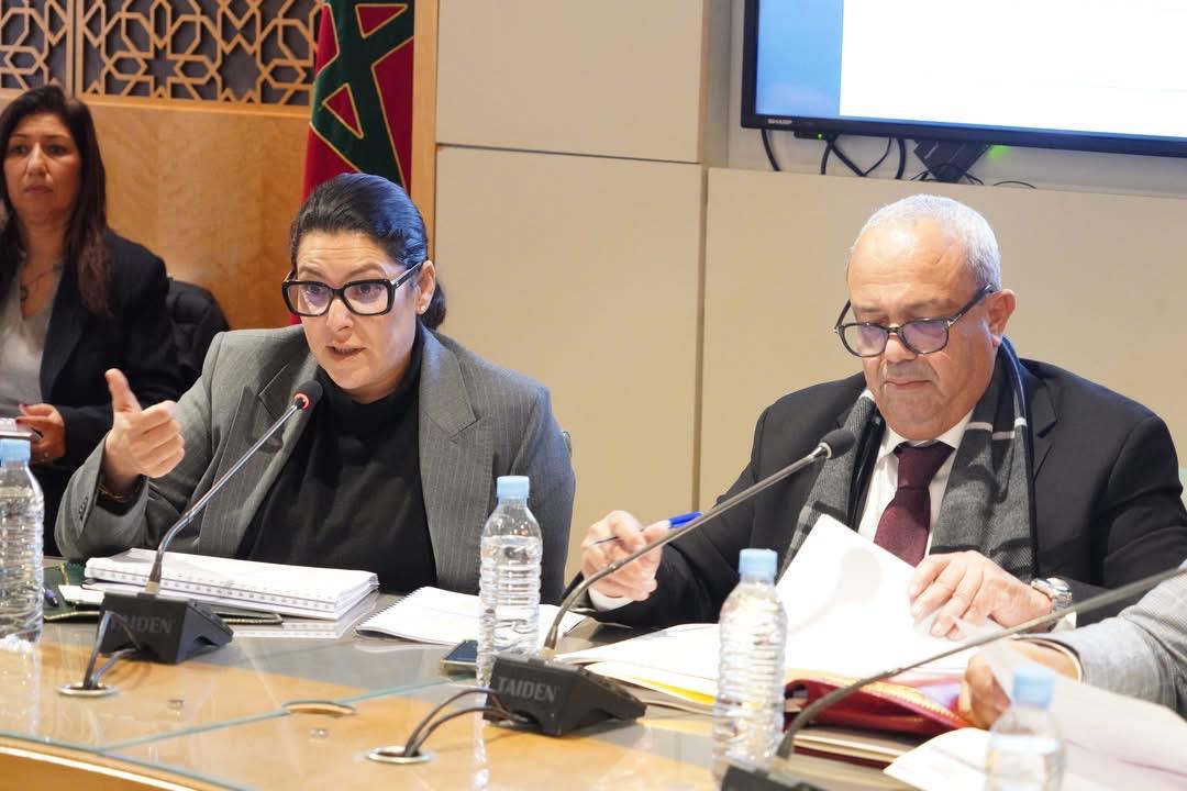 الوزيرة المنصوري: رقمنة قطاع الإسكان خيار استراتيجي لتحديث التدبير وتقريب الخدمات