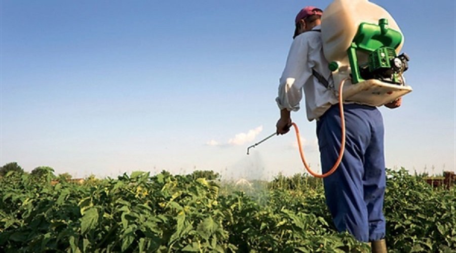 “البام” يحذر وزارة الفلاحة من مخاطر استعمال المبيدات الكيميائية “البام” يحذر وزارة الفلاحة من مخاطر استعمال المبيدات الكيميائية