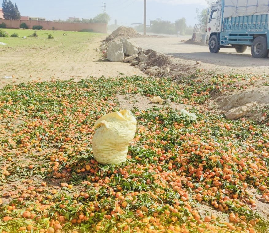 انقلاب شاحنة محملة بشحنة برتقال عند منعرج خطير بالشماعية