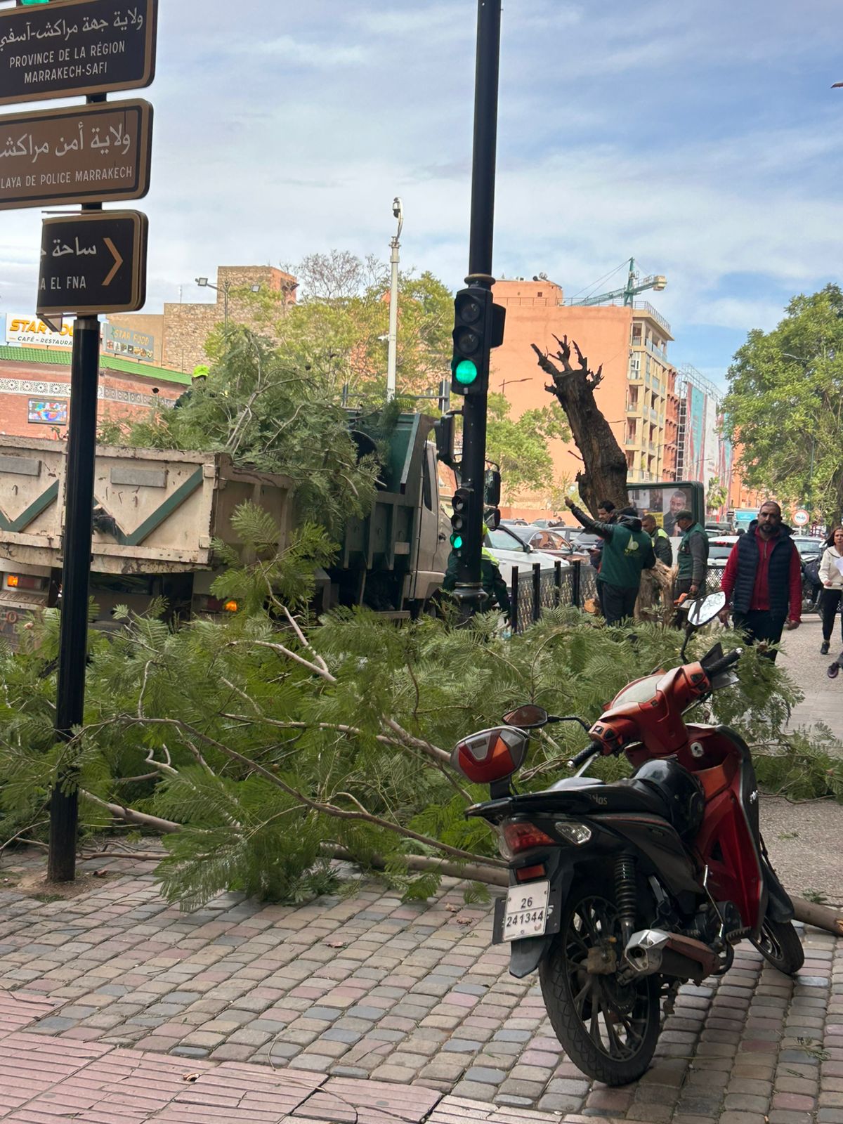 مراكش تحت تأثير “العواصف”.. رياح قوية تُسقط الأشجار وتشل الحركة بعدد من شوارع المدينة +فيديو