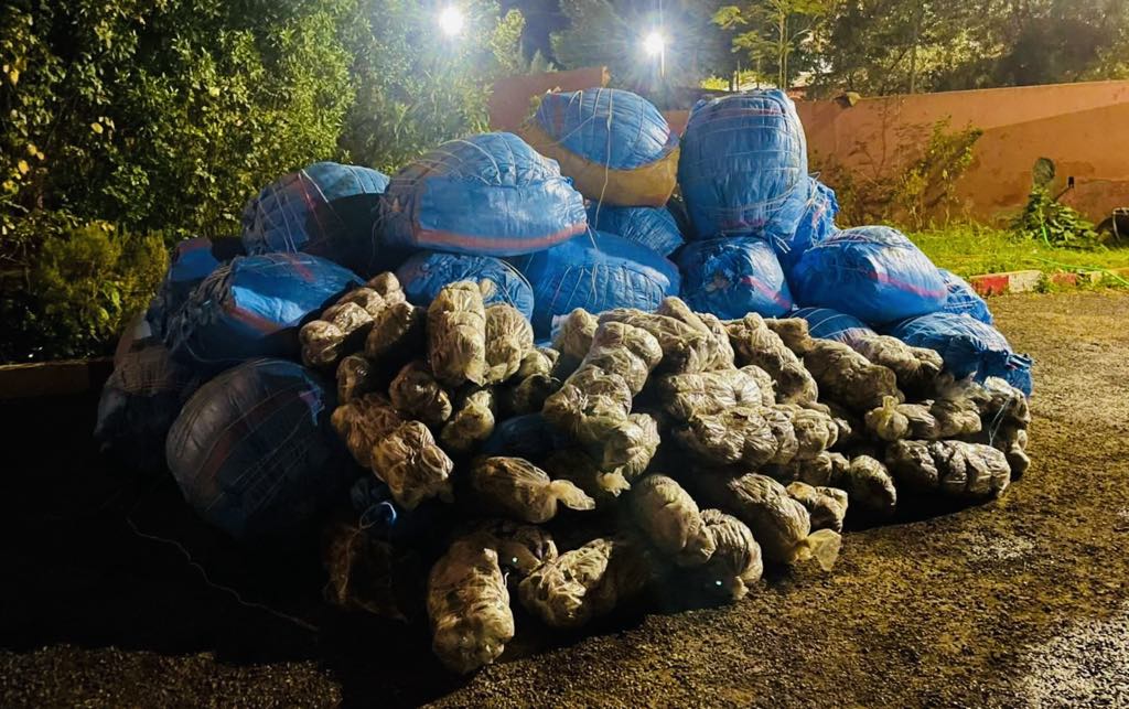 إيقاف ثلاثة أشخاص وحجز طن من القنب الهندي