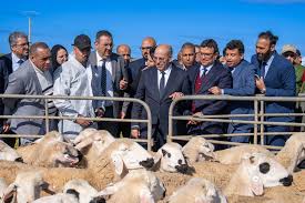 من الرحامنة.. وزير الفلاحة يُعطي انطلاقة مشاريع “الفلاحة التضامنية” لتعزيز الصمود وتنمية القطيع