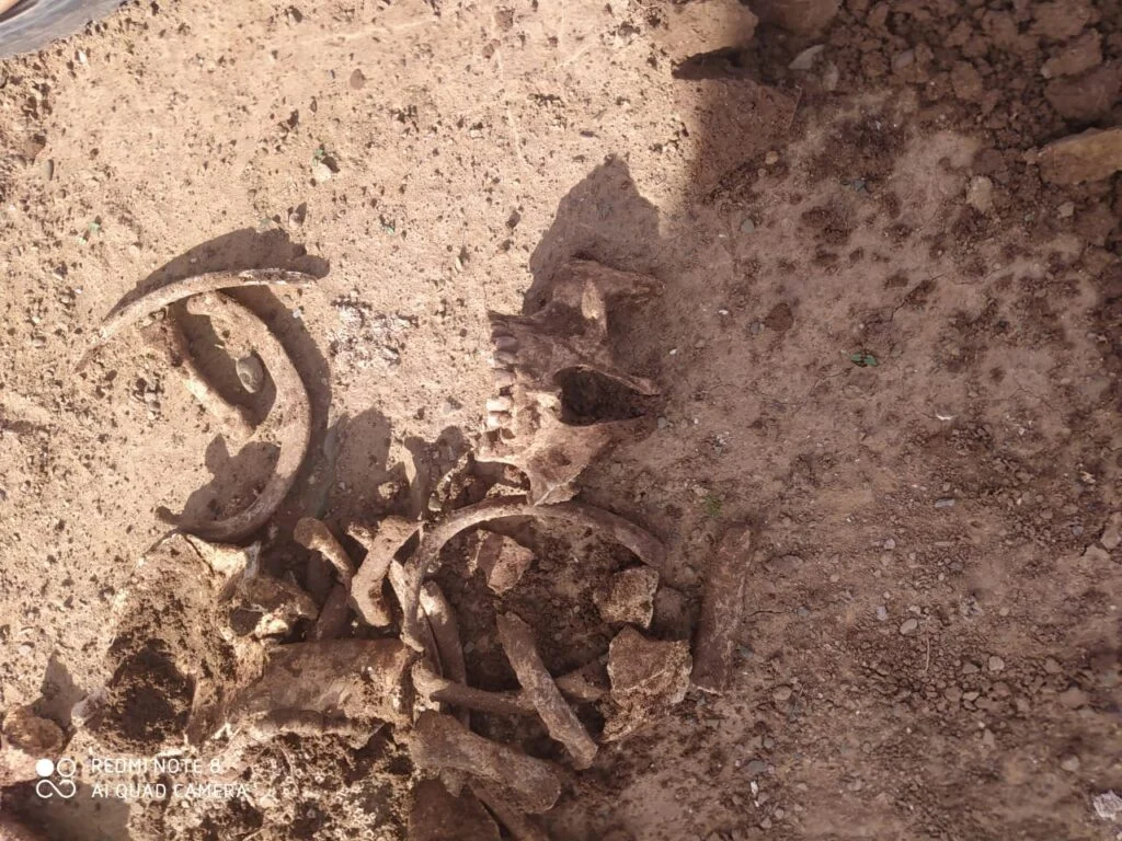 بقايا هيكل عظمي بشري تستنفر درك الرحامنة