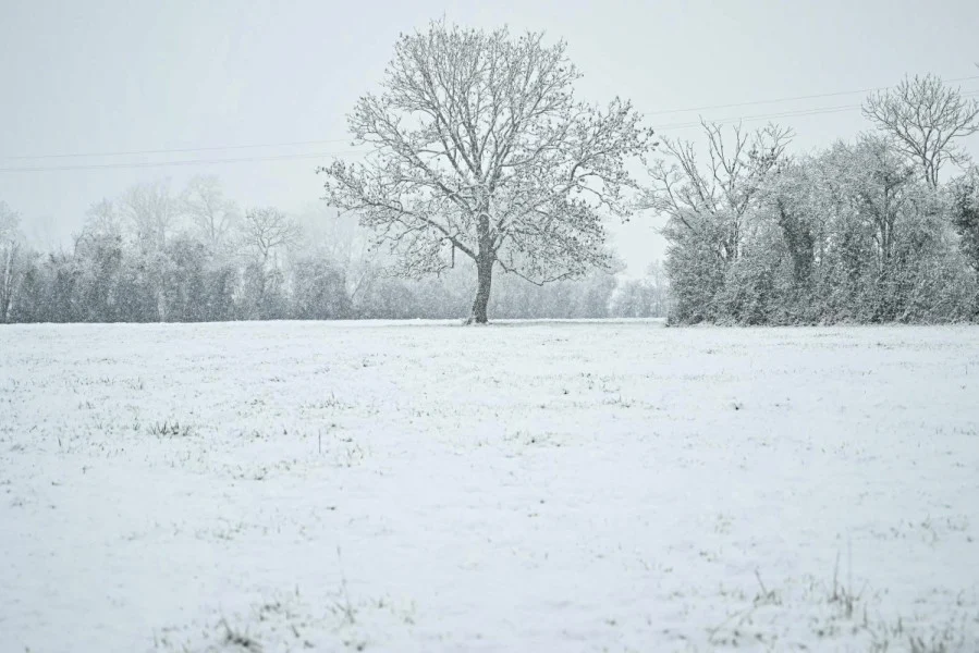 الثلوج تغطي الطرق في فرنسا وتودي بخمسة أشخاص