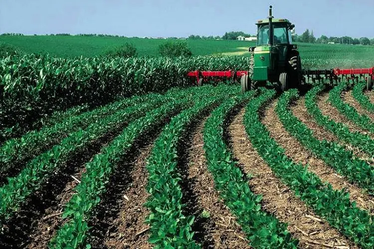 بفضل التساقطات المطرية.. زرع أزيد من 160 ألف هكتار من الزراعات الخريفية بإقليم الصويرة