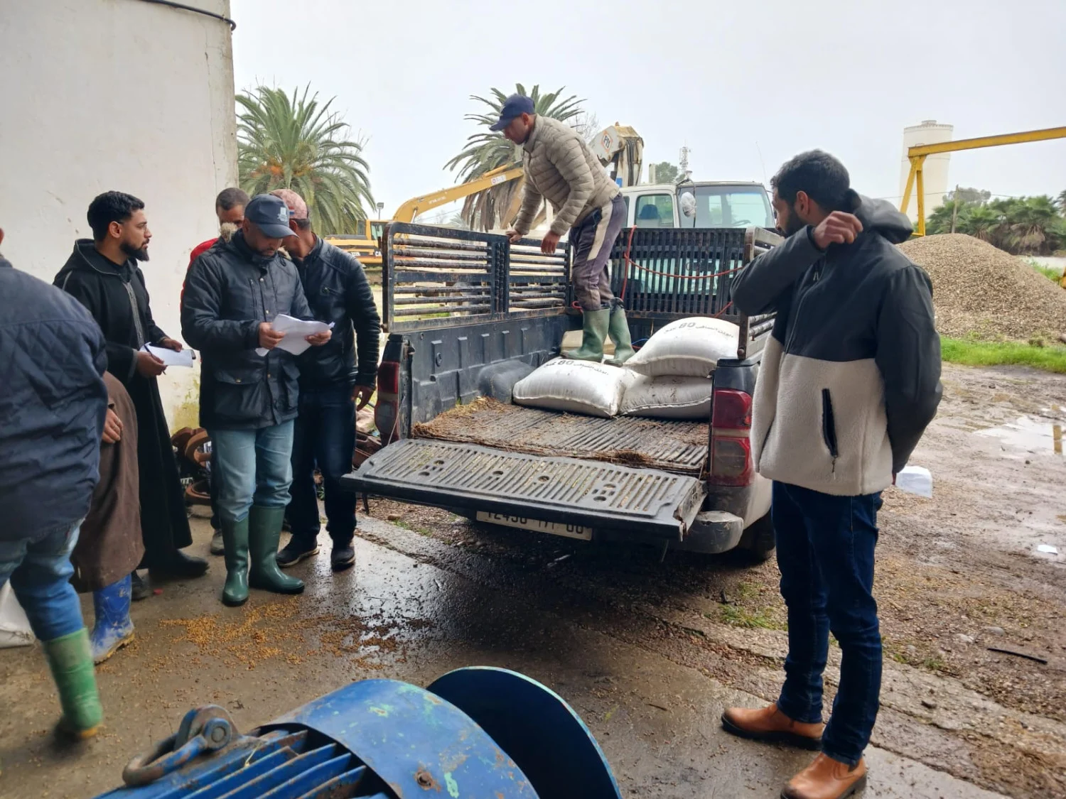 فيضانات الغرب.. توزيع أعلاف بالمجان وخطة مواكبة لما بعد انحسار المياه