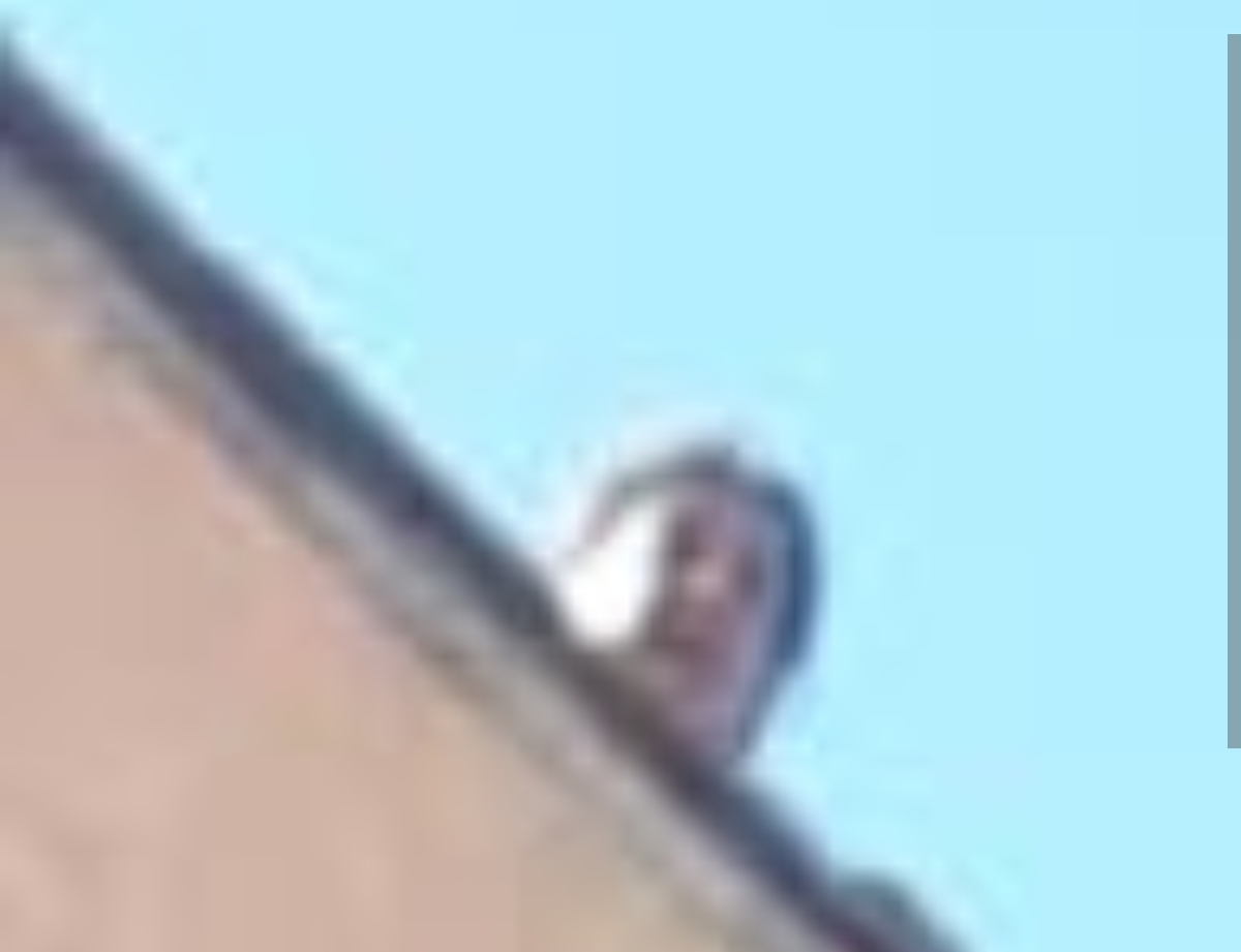 مراكش.. تدخل ميداني عقب تهديد سيدة تعاني اضطرابات نفسية بالقفز من سطح منزل