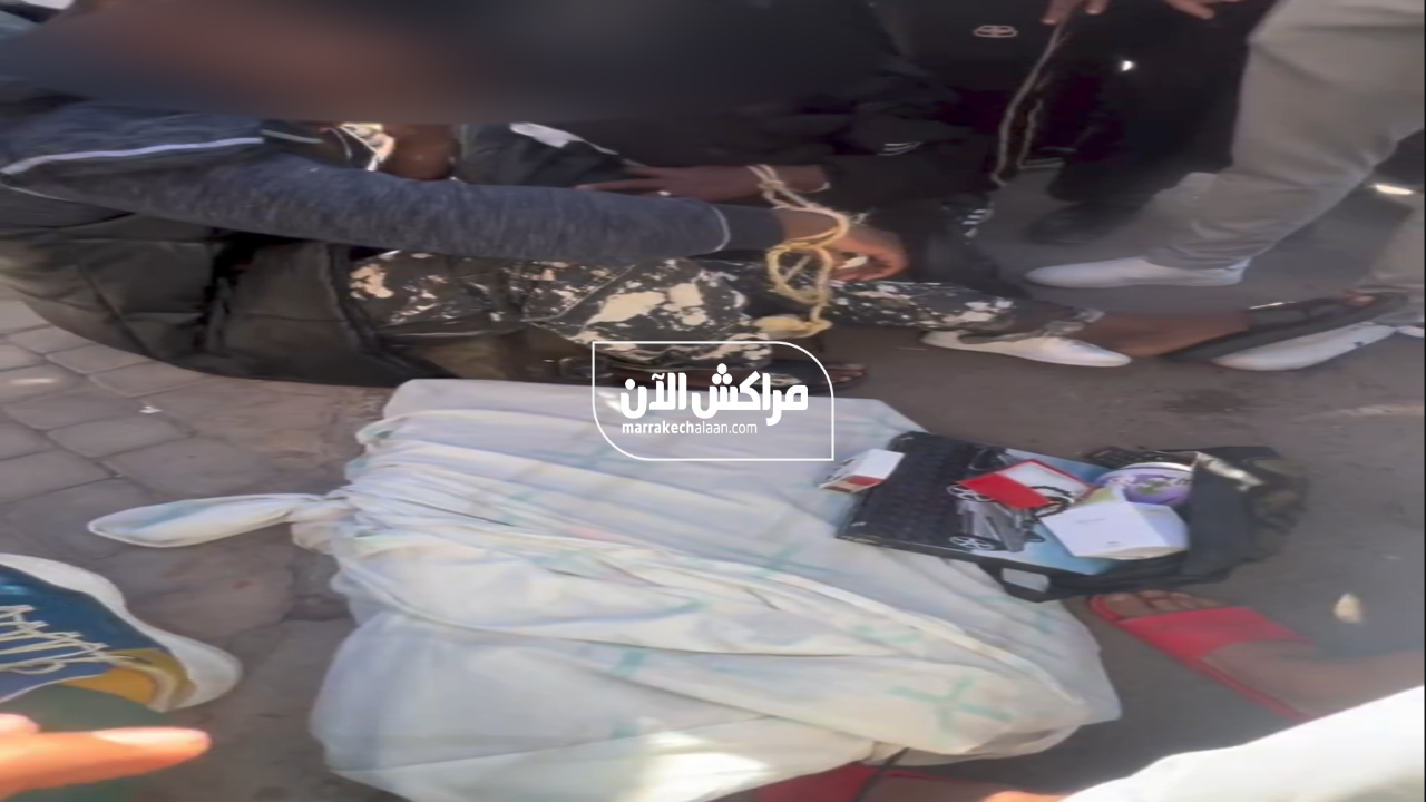 بالفيديو.. توقيف مهاجرين متلبسين بتنفيذ سرقات من داخل شقق سكنية بمراكش