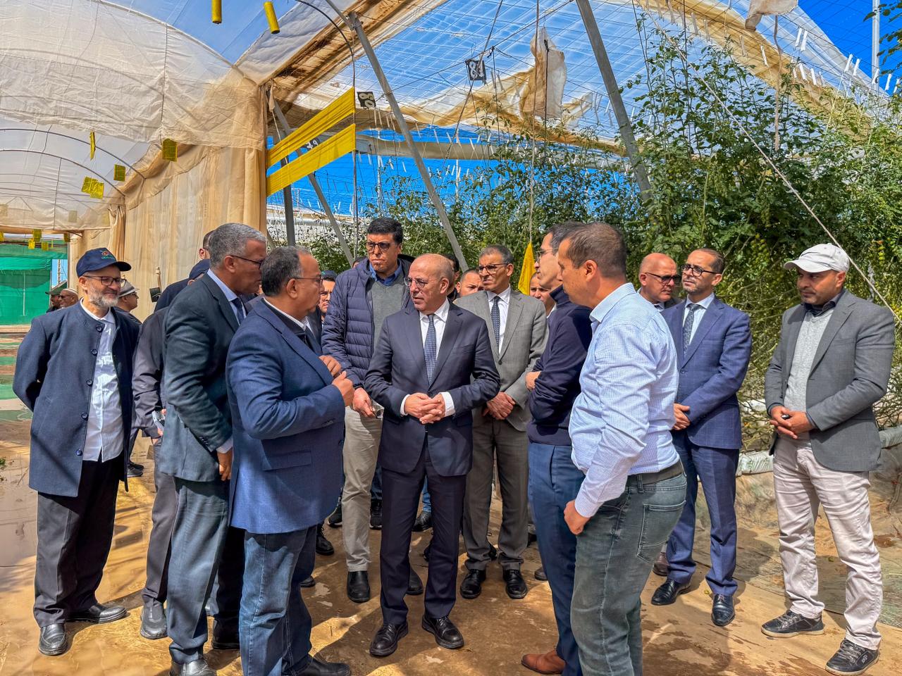 سوس-ماسة.. تضرر 1500 هكتار من الزراعات بسبب الرياح القوية