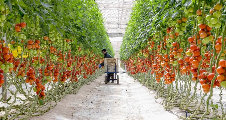 مكتب الصرف: ارتفاع العجز التجاري إلى 25,52 مليار درهم خلال يناير