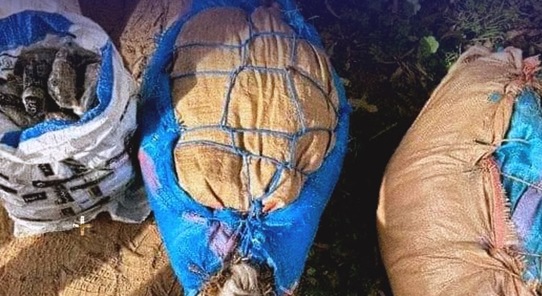 آسفي.. حجز 30 كلغ من القنب الهندي و10 كلغ من التبغ المهرب بدوار العيايطة