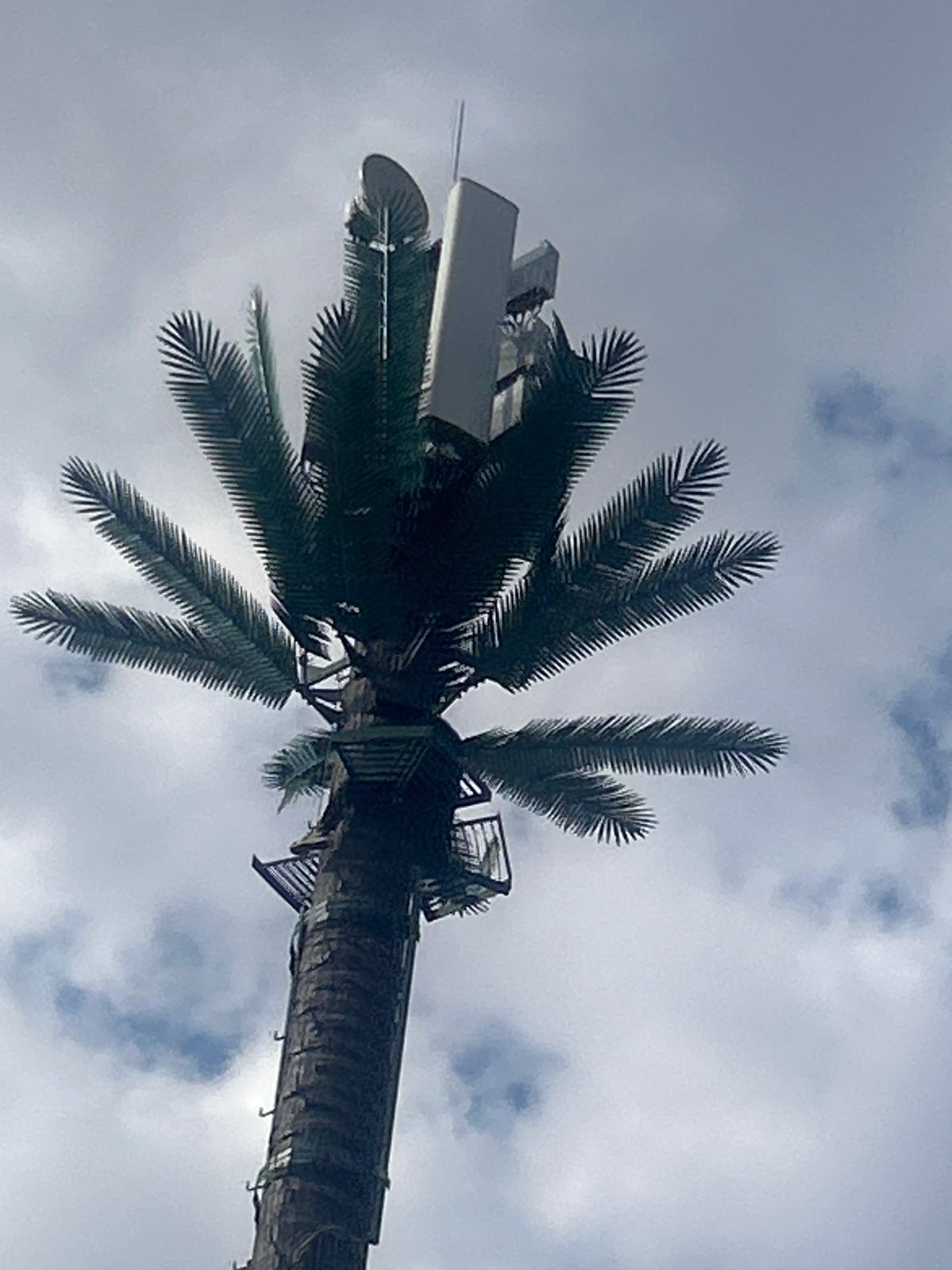 مراكش.. شاب ثلاثيني يلوّح بالانتحار من أعلى لاقط هوائي واستنفار أمني بطريق المحاميد