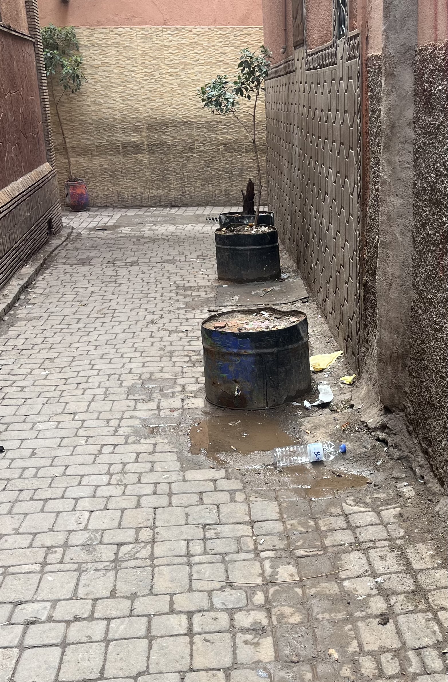 مراكش.. ساكنة “زنقة الصندوق البالي” بجامع الفنا تشتكي من عرقلة السير بسبب “أحواض الأزهار”