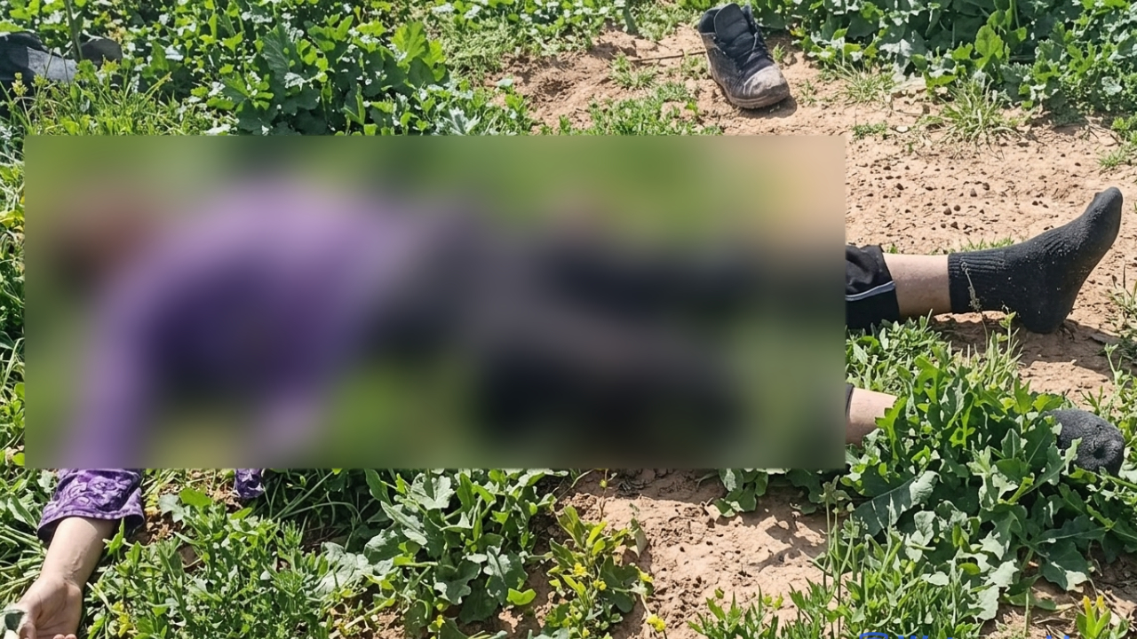 صعقة كهربائية تنهي حياة تلميذ تسلق عموداً للضغط العالي ضواحي اسفي