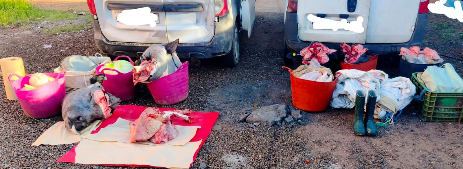 إحالة ثلاثة موقوفين على القضاء في قضية حجز 330 كيلوغراماً من اللحوم الفاسدة باقليم الرحامنة