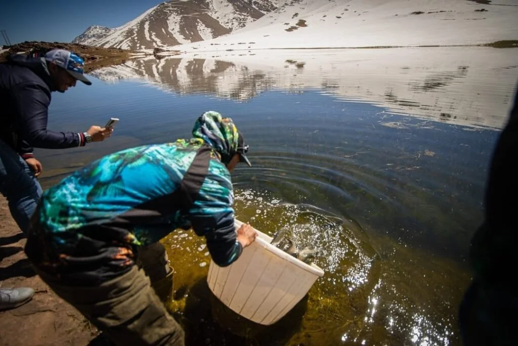 إقليم الحوز.. عملية استزراع سمك “التروتة” ببحيرة أوكايمدن لتعزيز الثروة السمكية