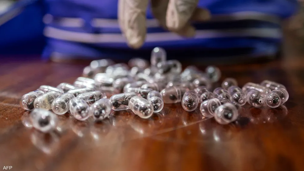 القضاء الكيني يصدر حكماً بالسجن وغرامة مالية في حق مواطن صيني بتهمة تهريب النمل