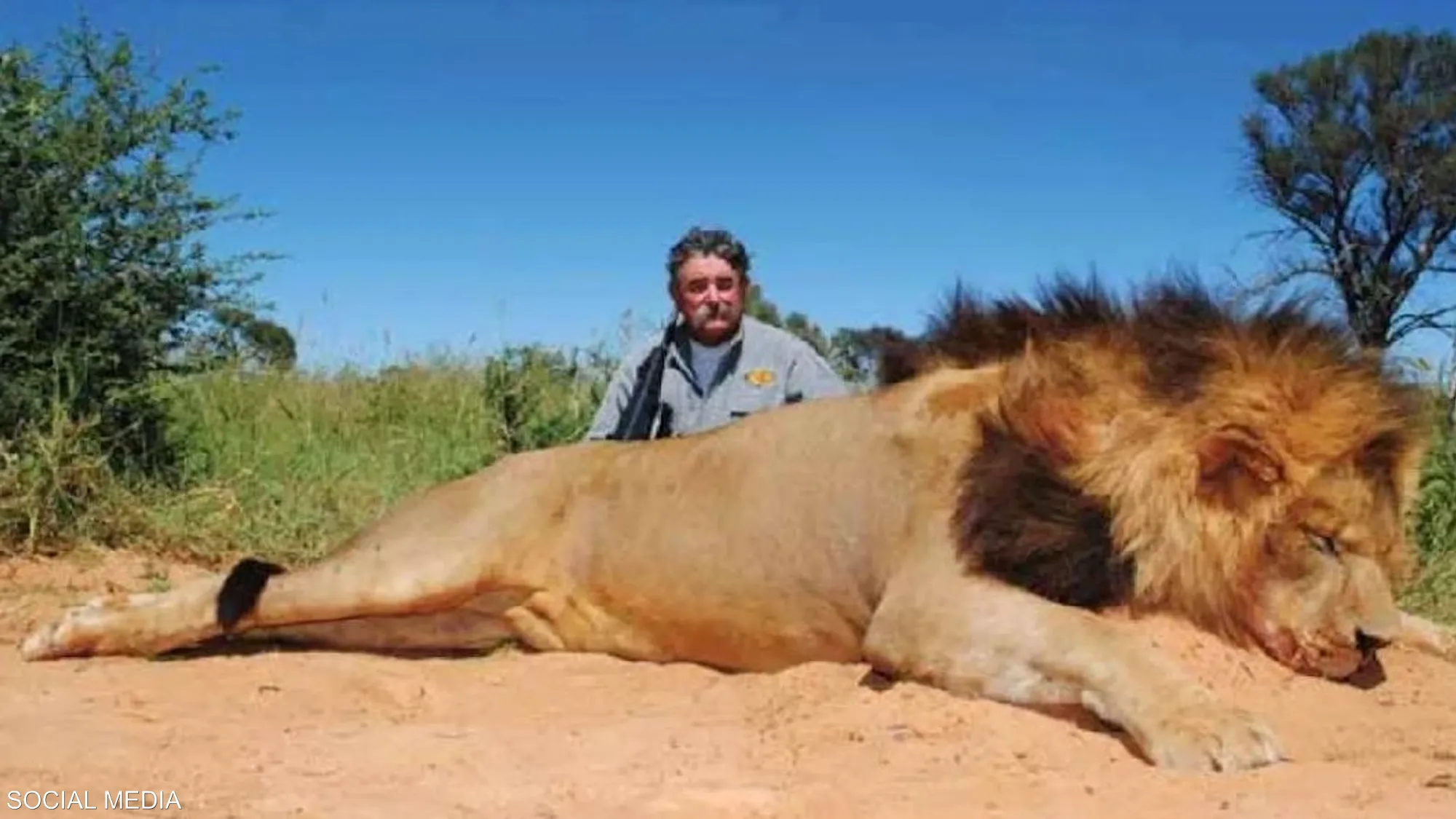 أفيال “تسحق” صيادا أميركيا حتى الموت