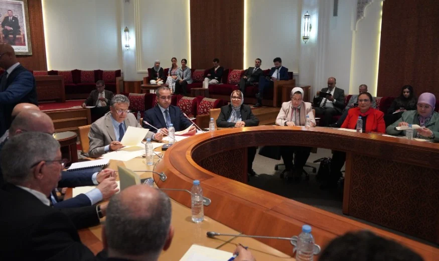 المجلس الاقتصادي والاجتماعي يوصى بإعادة النظر في مشروع القانون المتعلق بحماية الطفولة