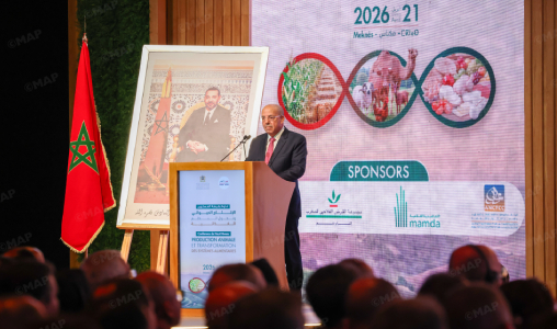 الوزير البواري: نتوقع بلوغ محصول الحبوب نحو 90 مليون قنطار