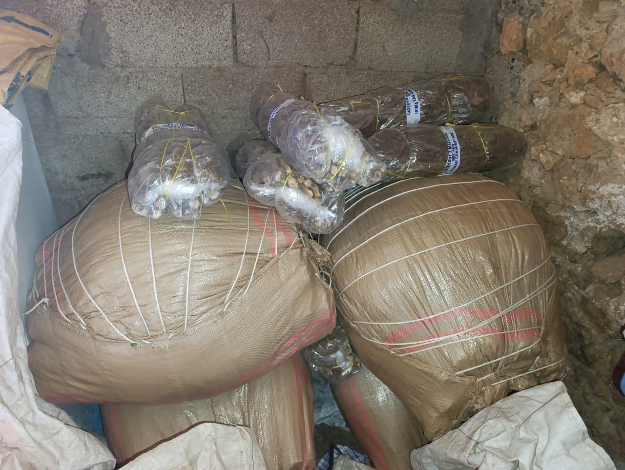 إقليم آسفي.. توقيف ستيني بجماعة العمامرة للاشتباه في حيازته وترويجه لكميات هامة من المخدرات