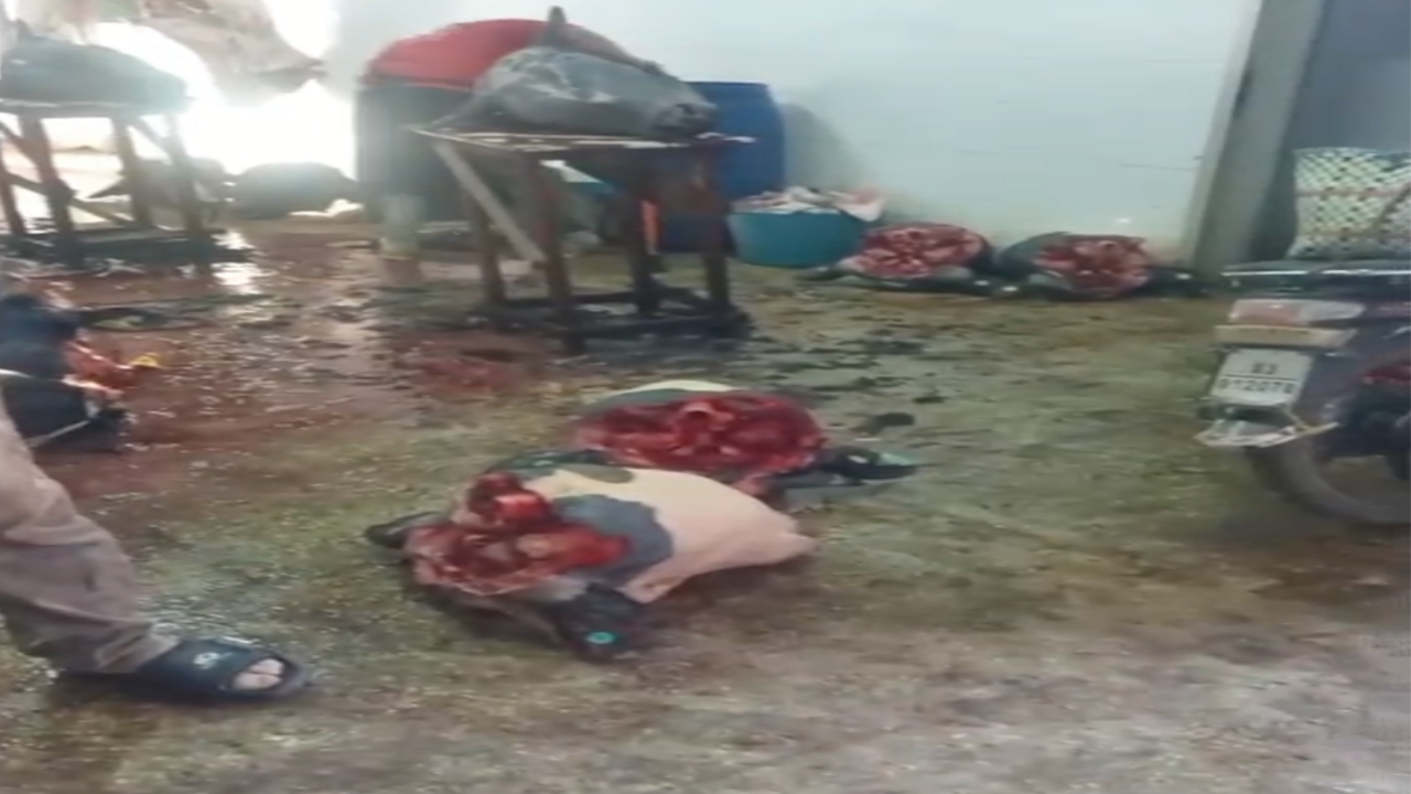 بالفيديو.. لجنة مختلطة تتفقد مجزرة تملالت إثر تقارير عن اختلالات صحية