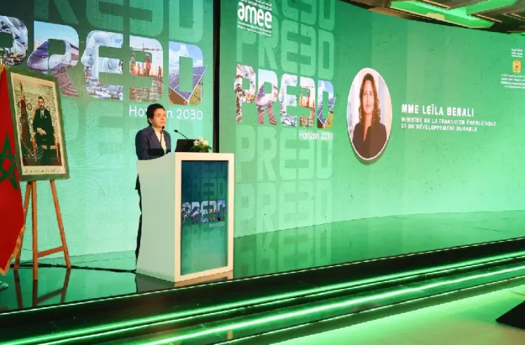 الوزيرة بنعلي: الجهات حلقة أساسية في تحقيق أهداف السيادة الطاقية