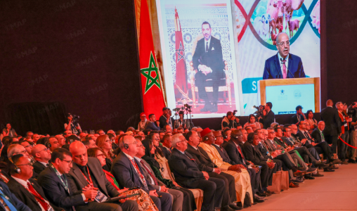 الإنتاج الحيواني بالمغرب يسهم بحوالي 35% من الناتج الداخلي الخام الفلاحي