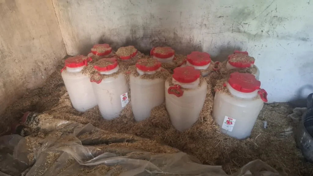 صخور الرحامنة.. توقيف خمسيني وتفكيك مصنع سري لـ “الماحيا”