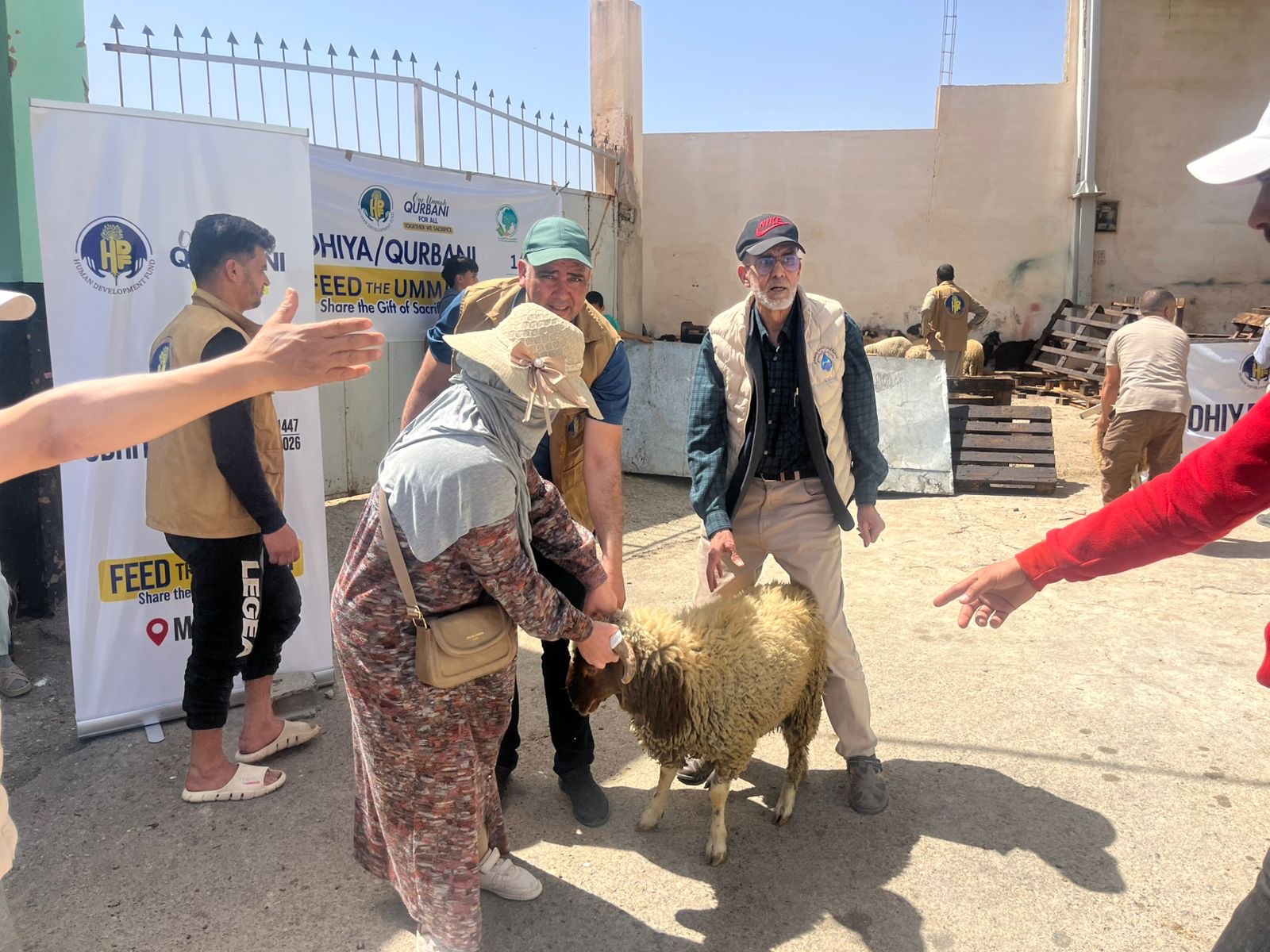 بدعم من صندوق التنمية البشرية الأمريكي.. توزيع أضاحي العيد لفائدة الأرامل الحاضنات للأطفال بامنتانوت