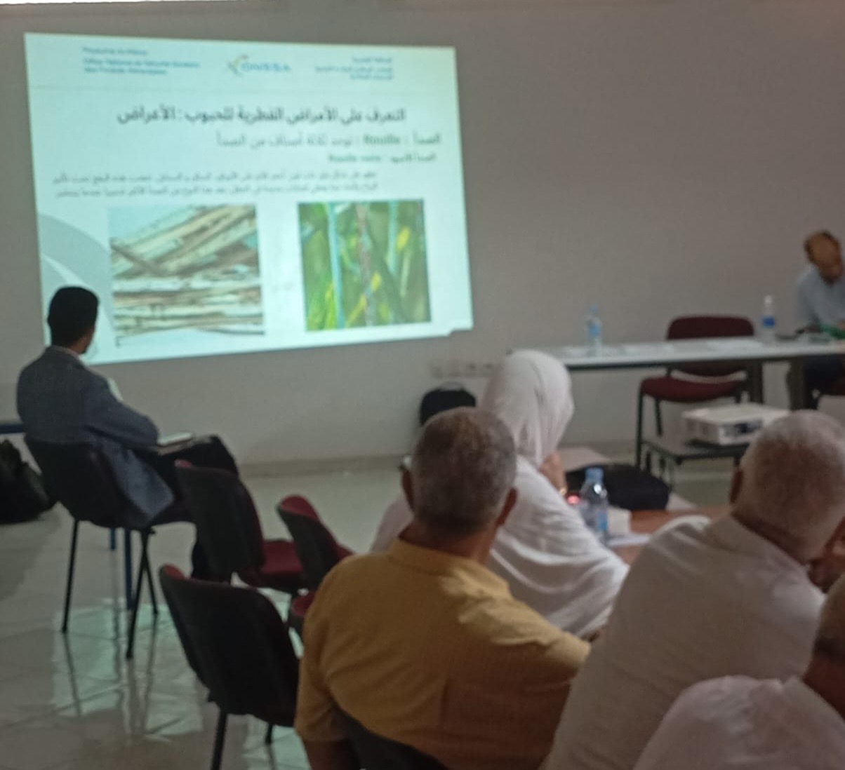 ورشة عمل بمراكش تبحث مستقبل سلسلة الحبوب وتحديات الأمن الغذائي والمناخ