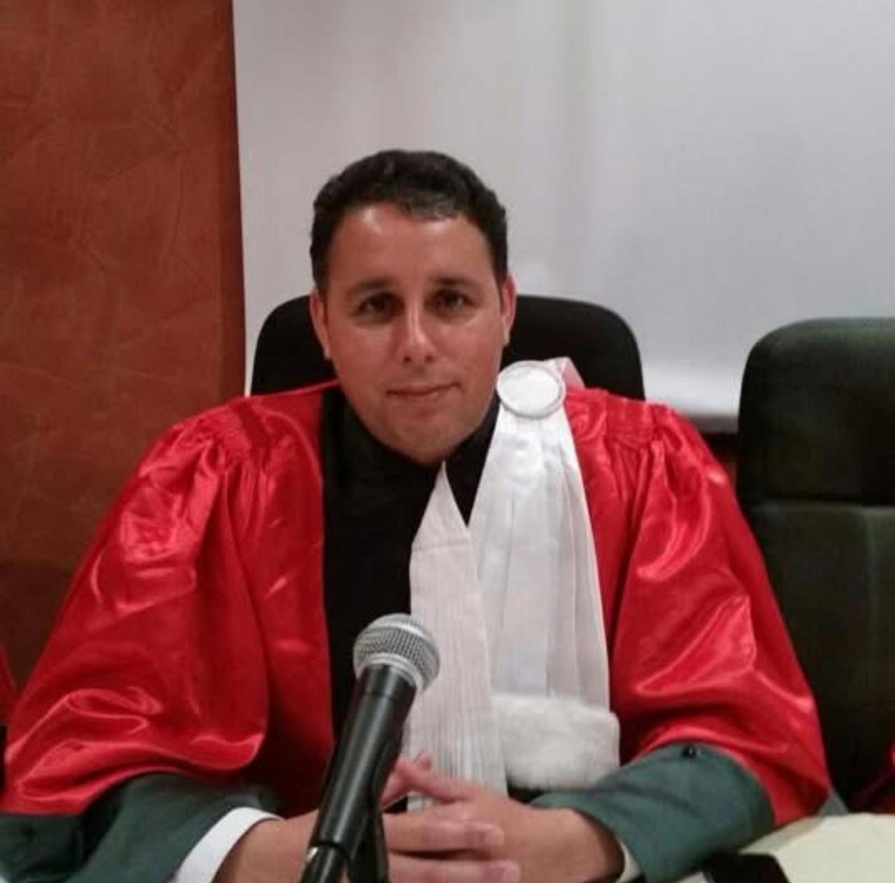 قراءة في قرار إحالة مشروع القانون المنظم لمهنة المحاماة على المحكمة الدستورية