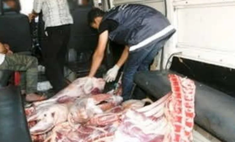 الدريوش.. حجز وإتلاف أزيد من 300 كيلوغرام من اللحوم غير الصالحة للاستهلاك بالمجزرة المحلية