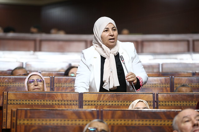 الكوط برلمانية جهة مراكش آسفي تسائل الوزير لفتيت بشأن معاناة مهنيي مولاي إبراهيم